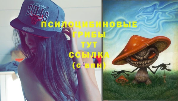 соль курить ск Абаза