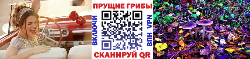 Псилоцибиновые грибы Psilocybine cubensis  Рыльск 
